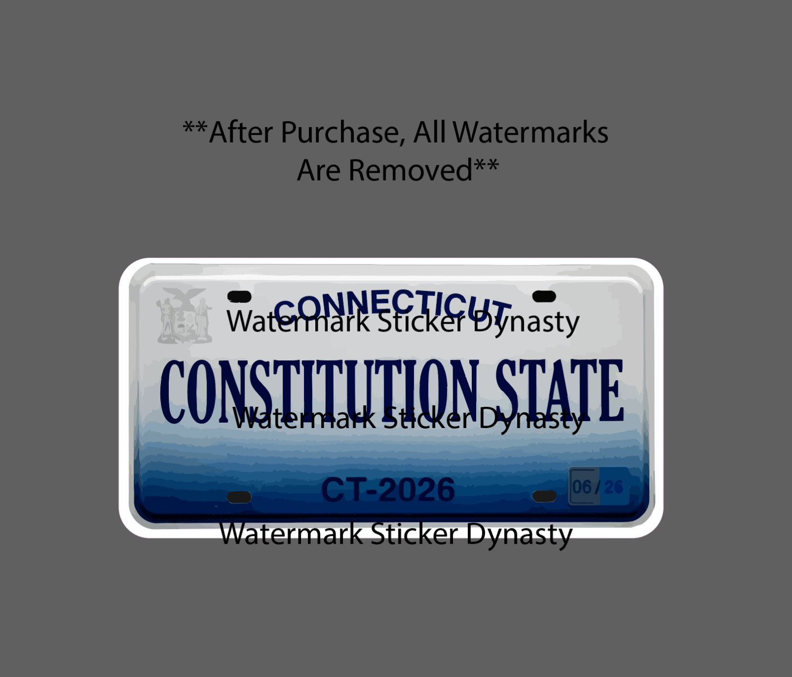 Connecticut License Plate Sticker Waterproof Decal State Constitution Gift NEW