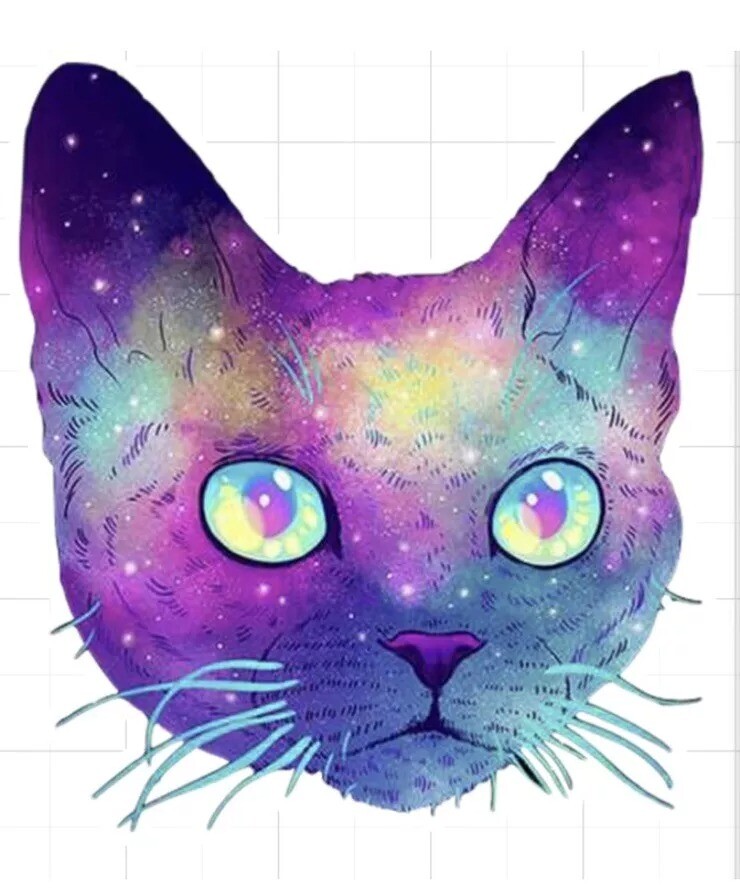 Galaxy Cat Head Sticker Decal
