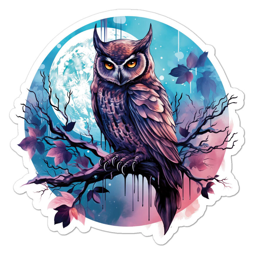 Night Owl Full Moon, Vinyl Decal Sticker, Indoor Outdoor, 3 Sizes, #11035