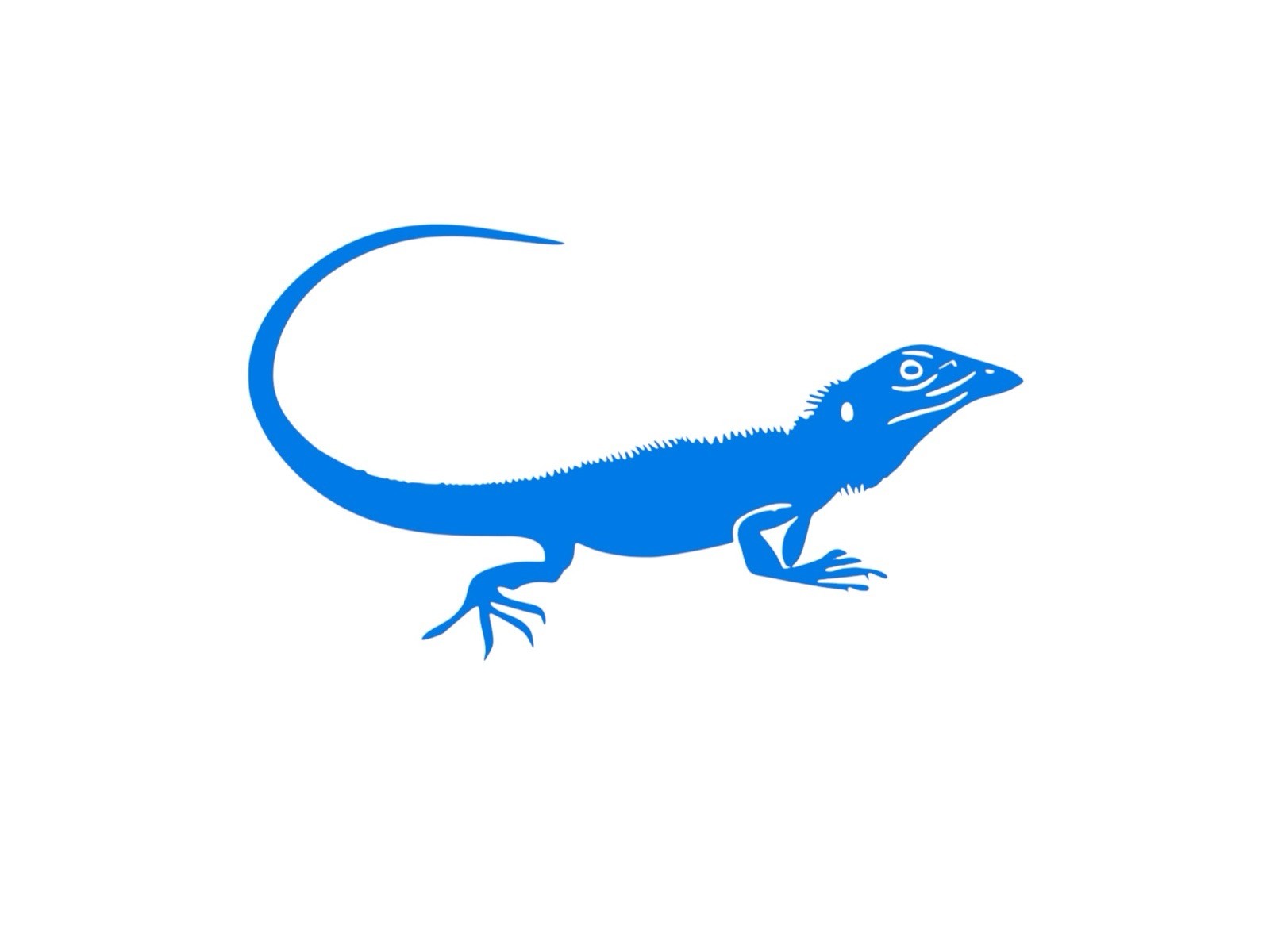Lizard design#4 Decal for car Windows Laptops most Smooth Surfaces