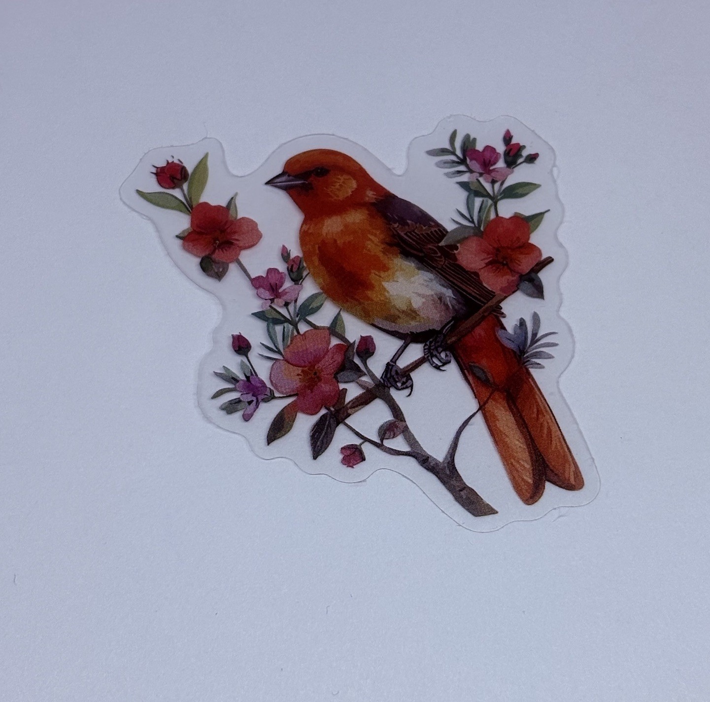 Scarlet Tanager Bird Sticker Animal Art Transparent Journal Decal VinylTc6