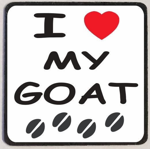 I Love My Goat Refrigerator Magnet M153