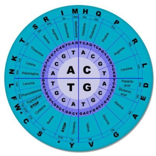 Genetic Code DNA Science Car Vinyl Sticker – SELECT SIZE