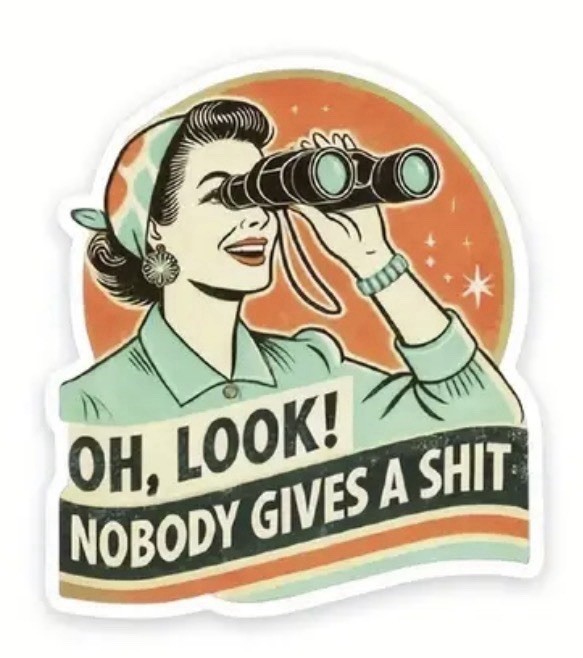 Retro VTG GenX ‘Oh Look Nobody Gives A $h*t’ 2” Inch Vinyl Sticker Decal Funny