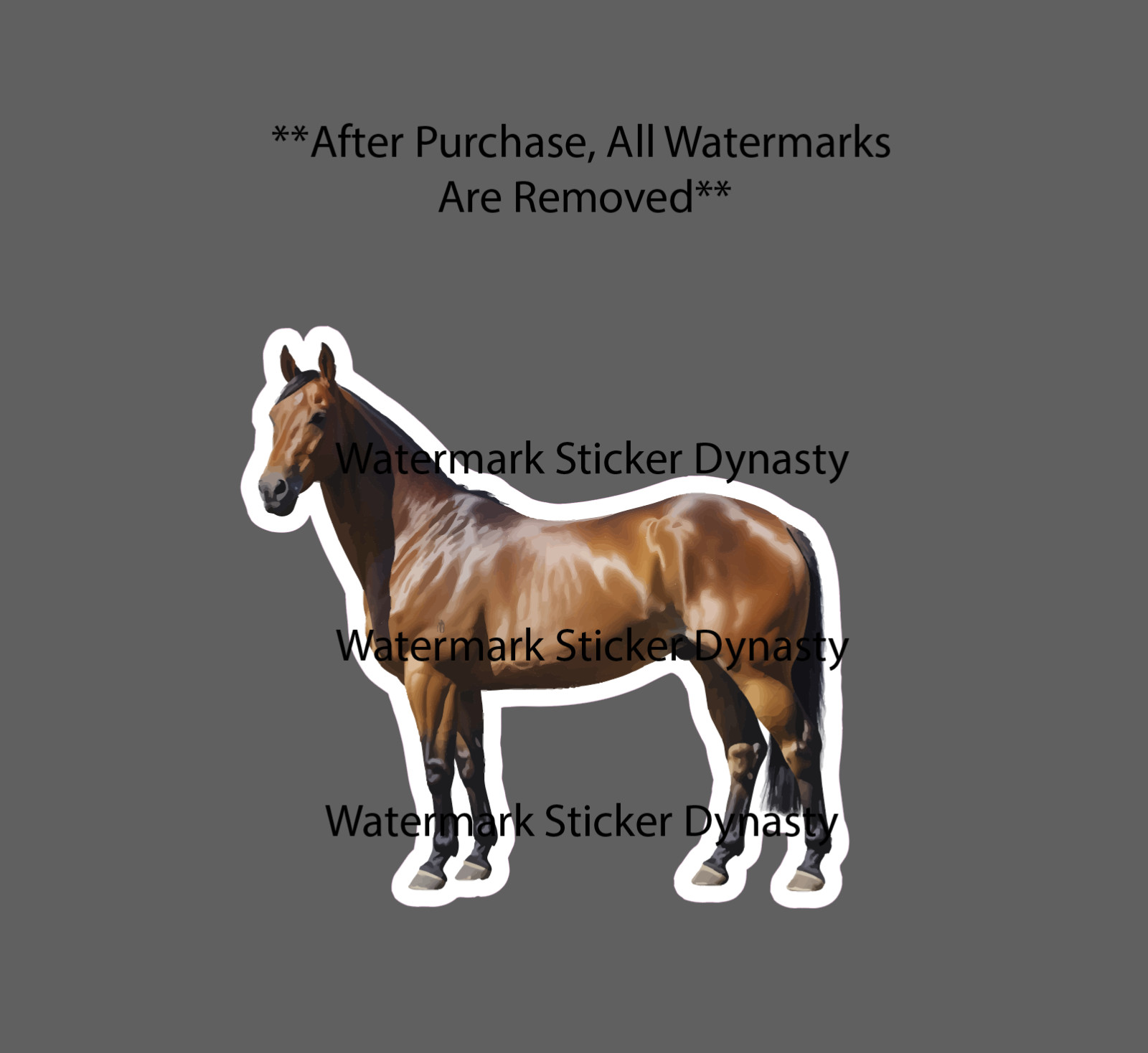 American Quarter Horse Sticker Waterproof Decal Horse Racing Animal Gift NEW