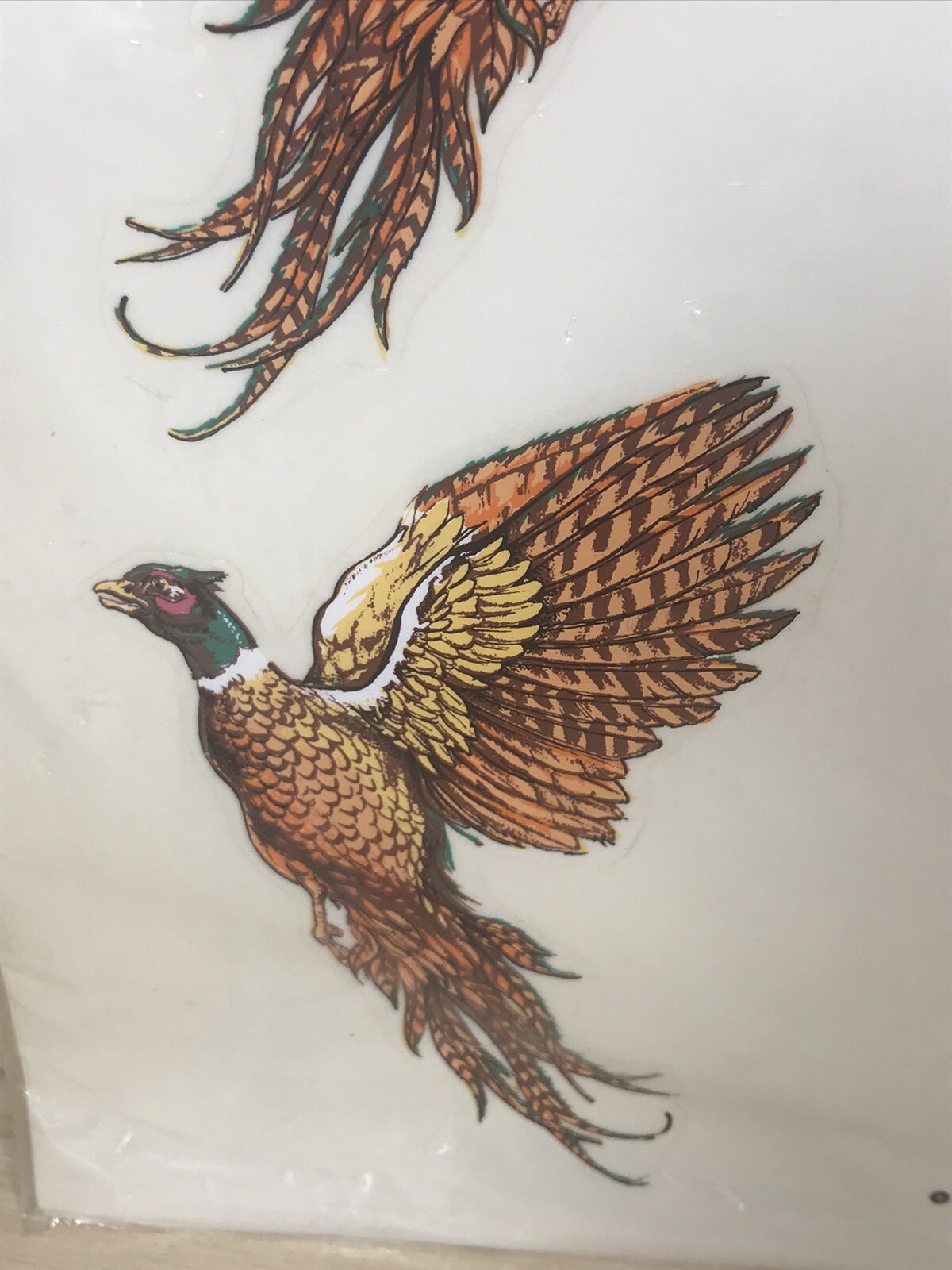 Ringneck Pheasant Decals Hand Painted Sports And Wildlife Decorcal Vintage 1981