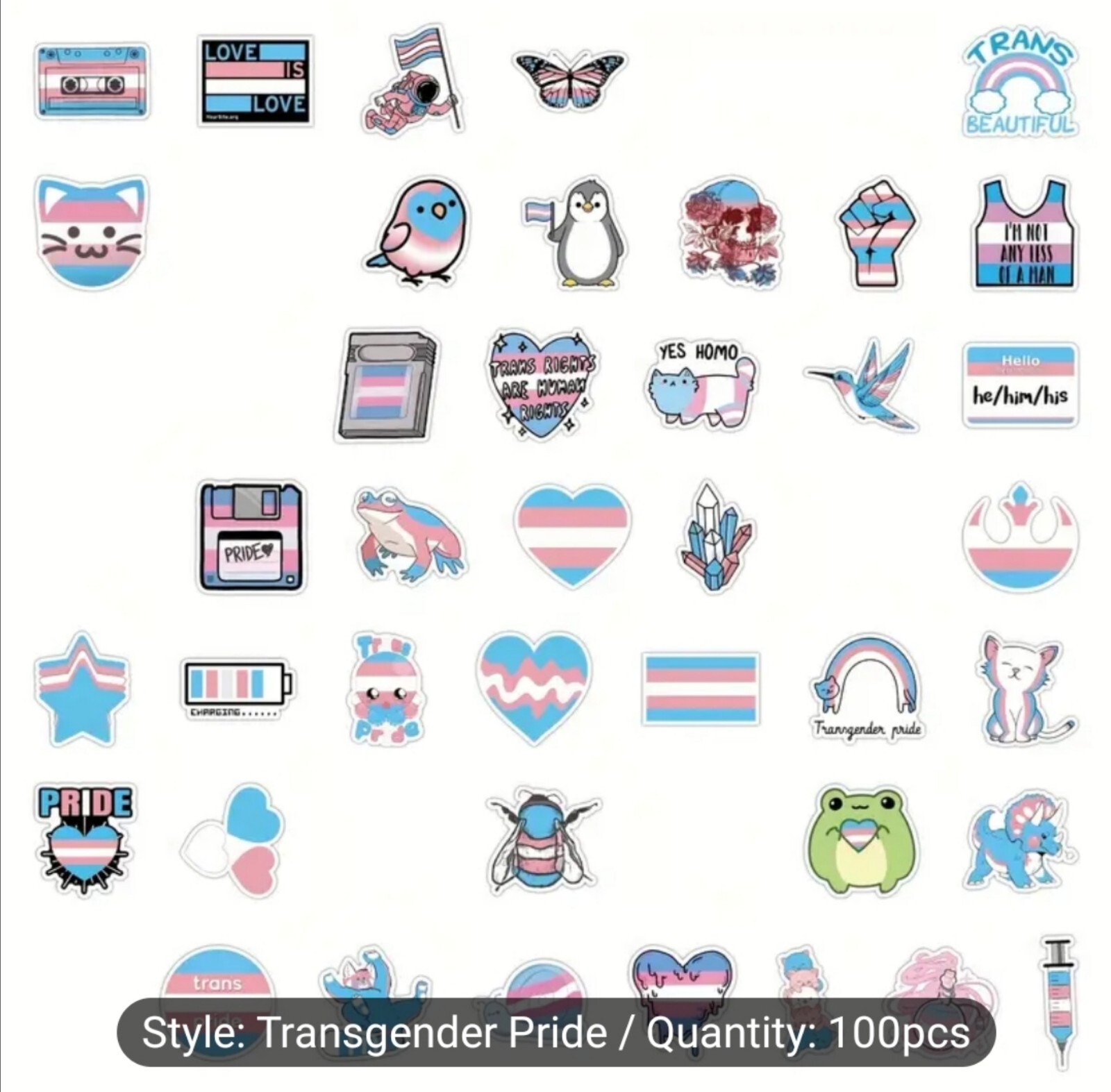 10 PCS Trans Queer Pride Stickers BRAND NEW