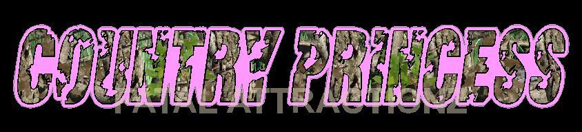 Pink Camo Country Princess Vinyl Decal Sticker southern 4×4 girl hunting truck