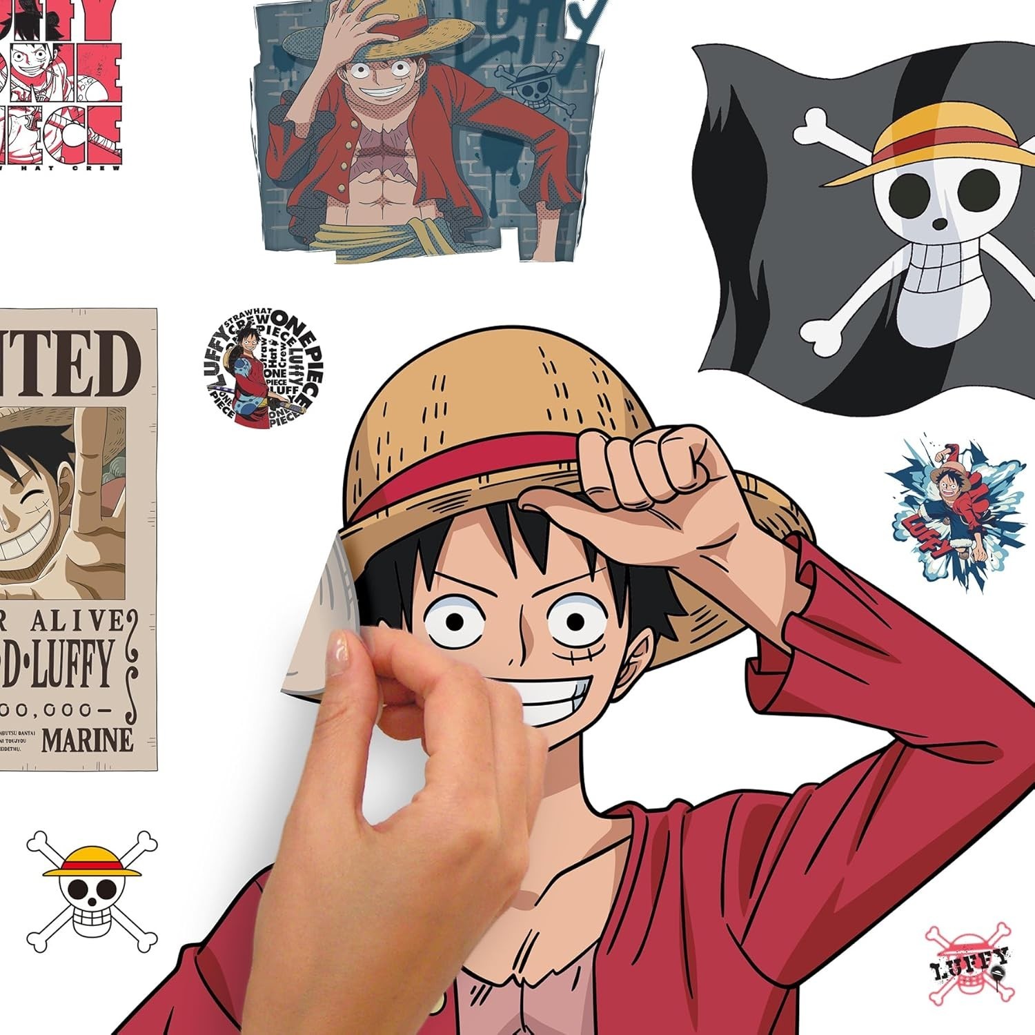 Official One Piece Luffy Wall Art