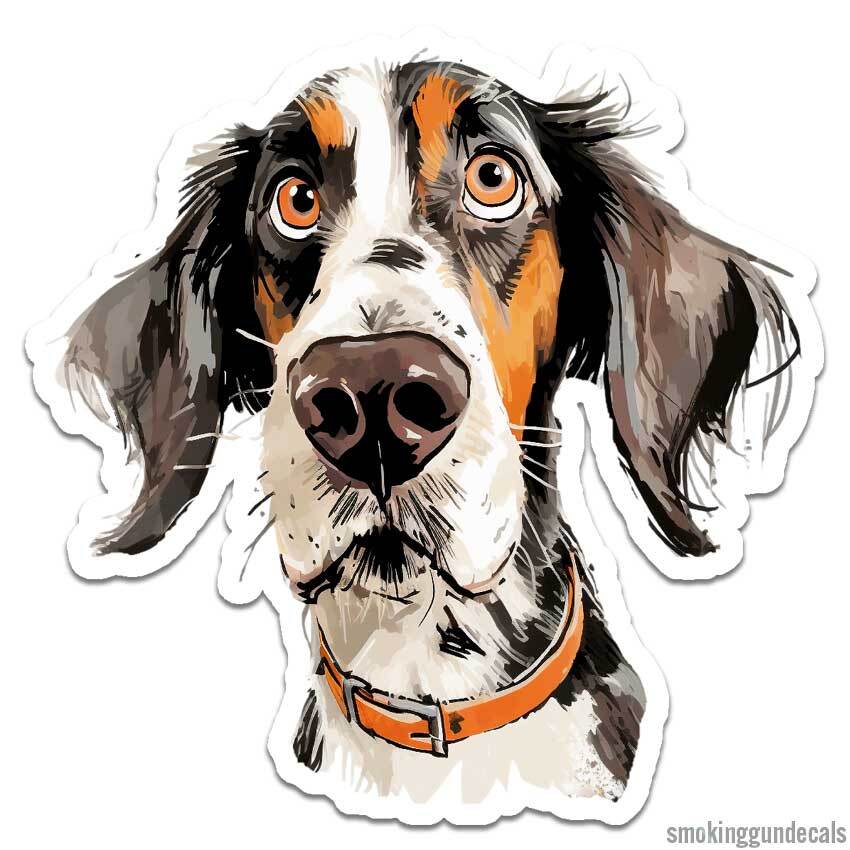 English Setter Dog, Vinyl Decal Sticker, Indoor Outdoor, 3 Sizes, #12338
