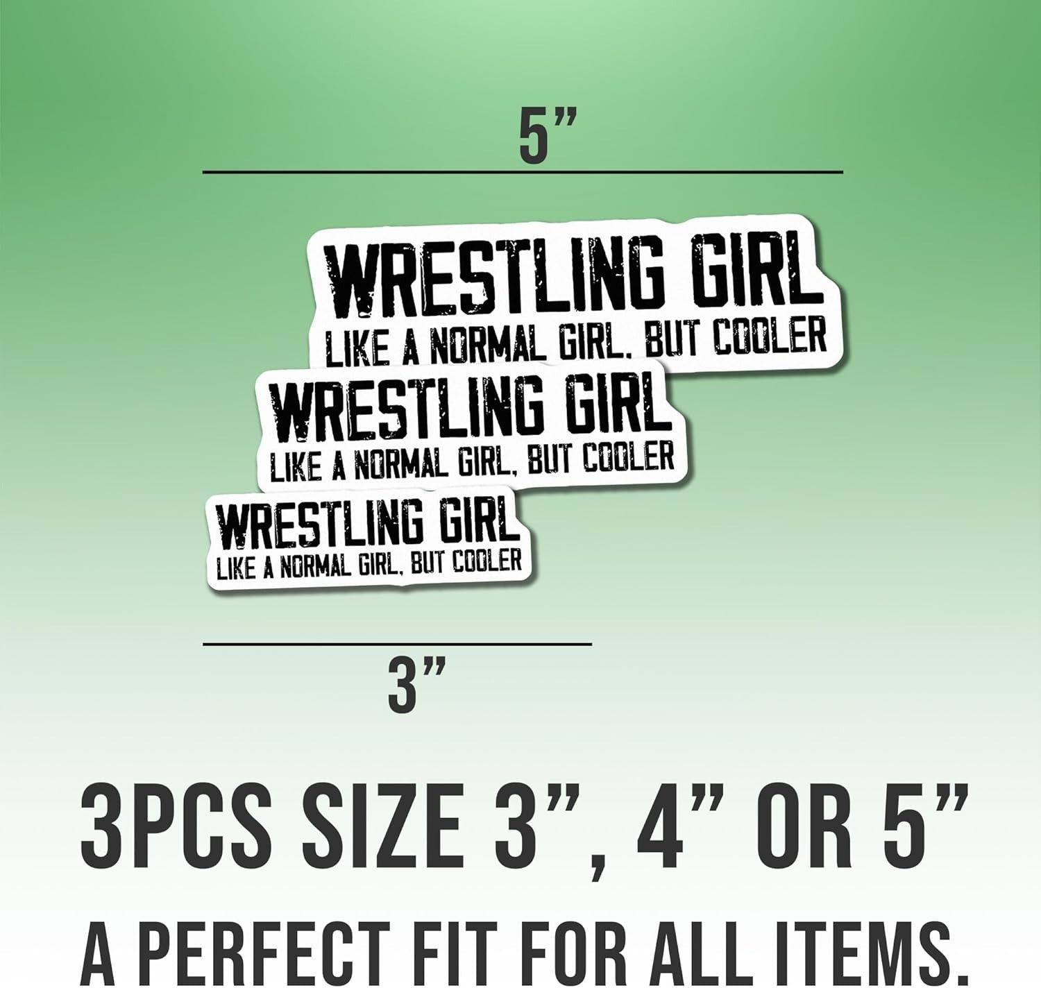 3pcs Wrestling Girl Sticker, Cool Wrestler, Women Wrestler Quotes Decal Size 3"