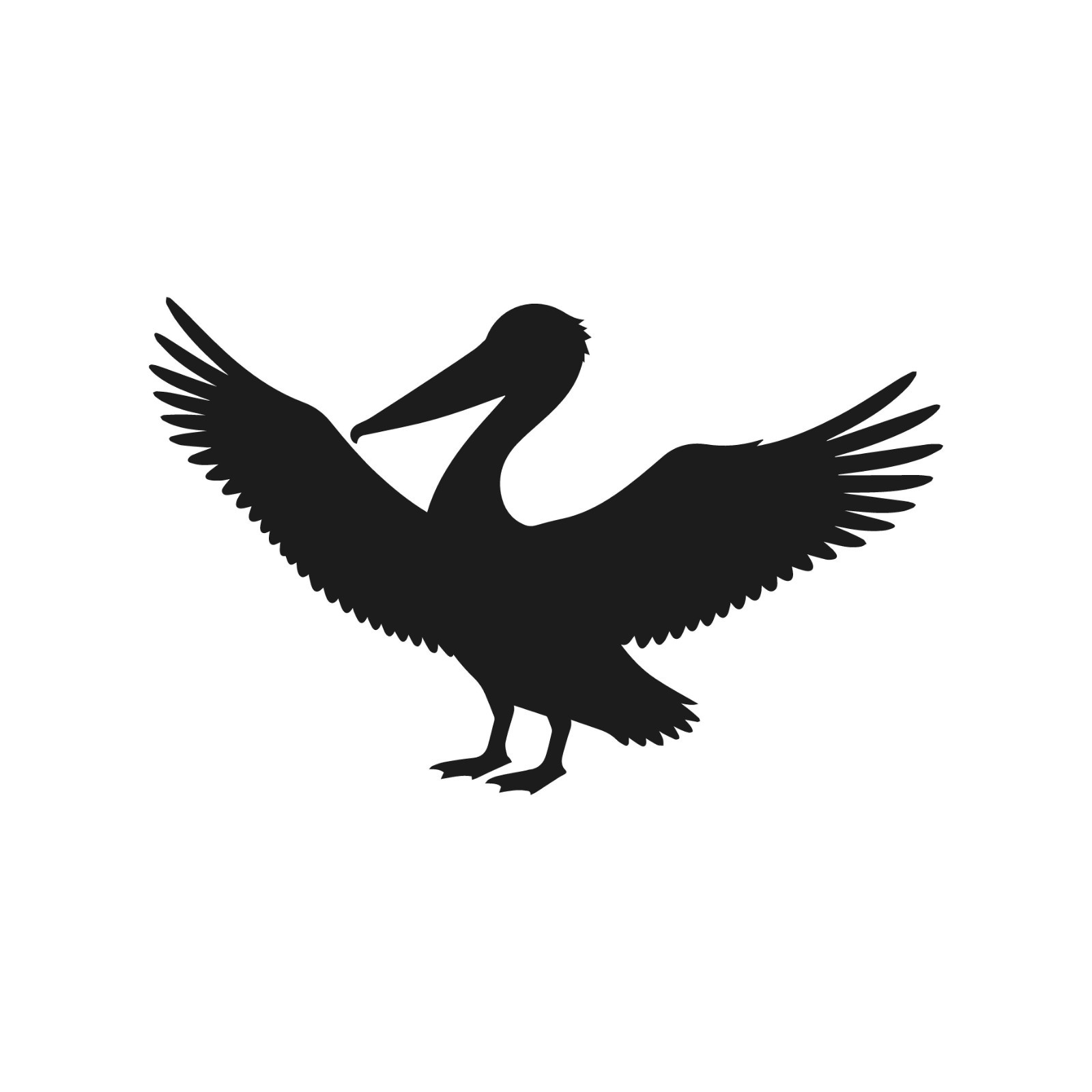 Pelican Open Wings Wildlife Bird Vinyl Decal Window Wild birds life Sticker