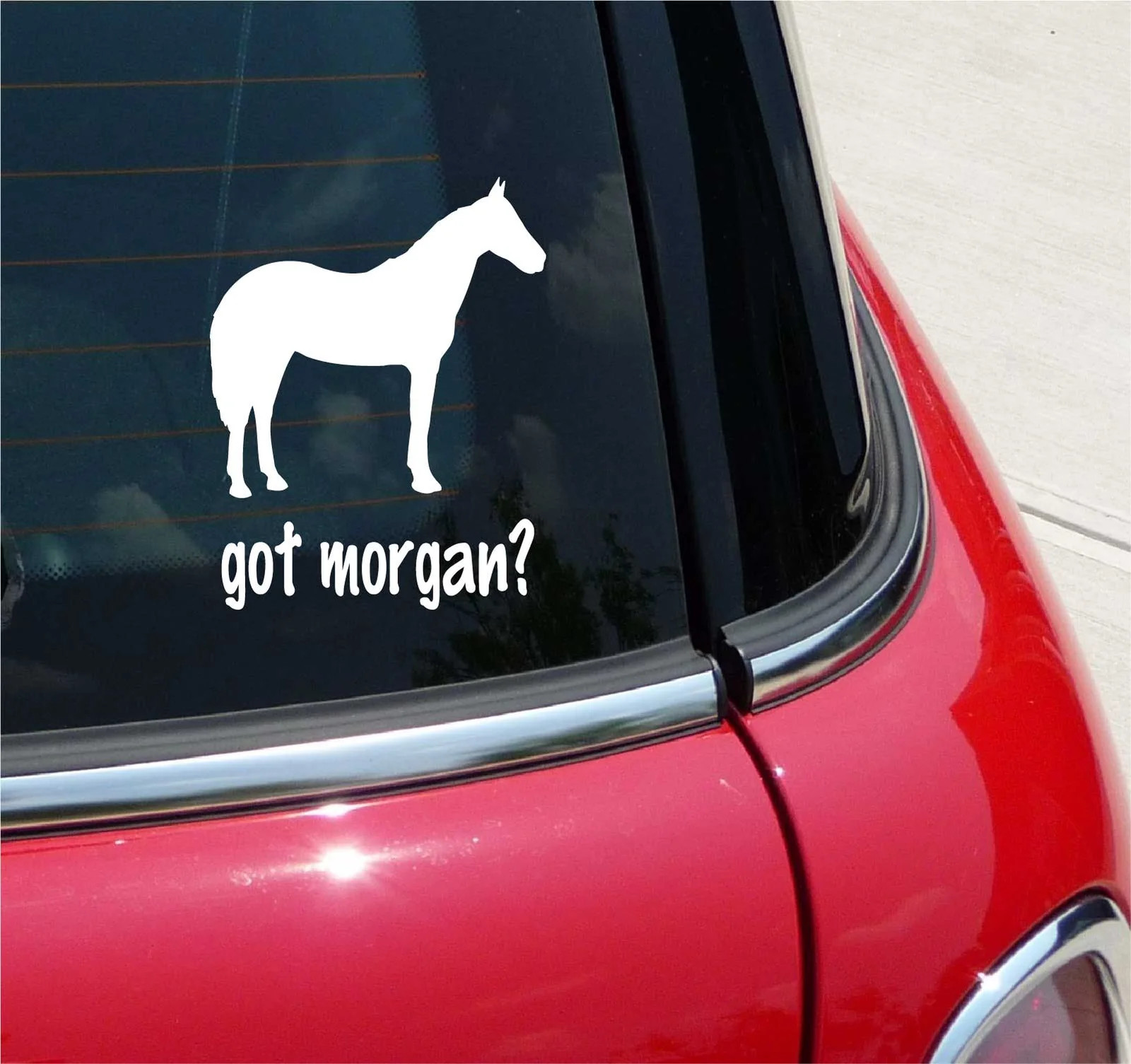GOT MORGAN? MORGANS HORSE HORSES GRAPHIC DECAL STICKER ART CAR WALL DECOR