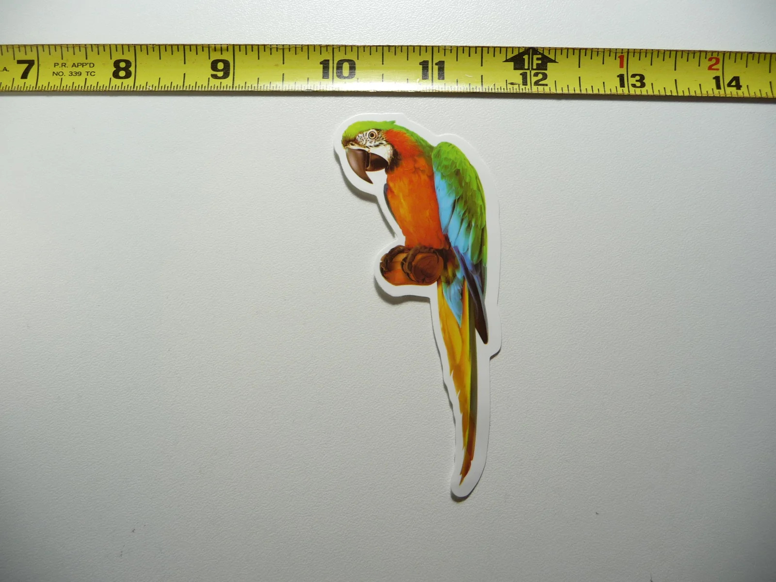 PARROT SMALL STICKER DECAL ZOO ANIMAL WILD FUN FUNNY