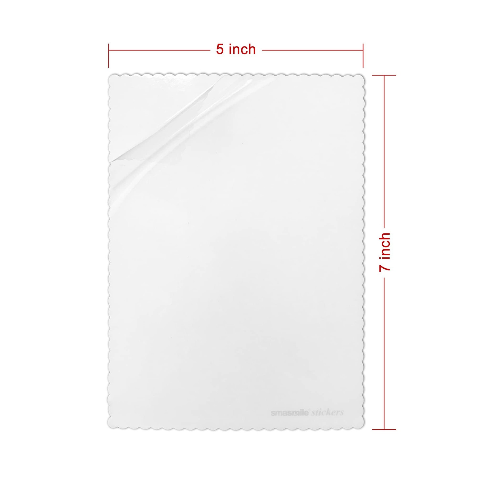 Easy Sticker Application! 5"x7" Windshield Applicator 5 Pack Static Cling New