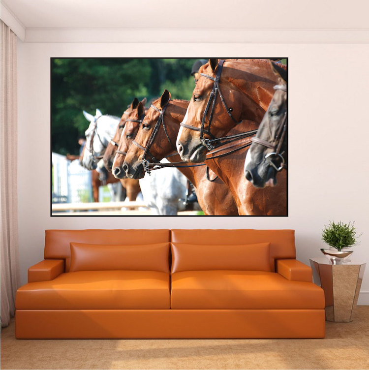 Horses Wall Decal Farm Horse Horseback Riding Frame Vinyl Removable Art, a41