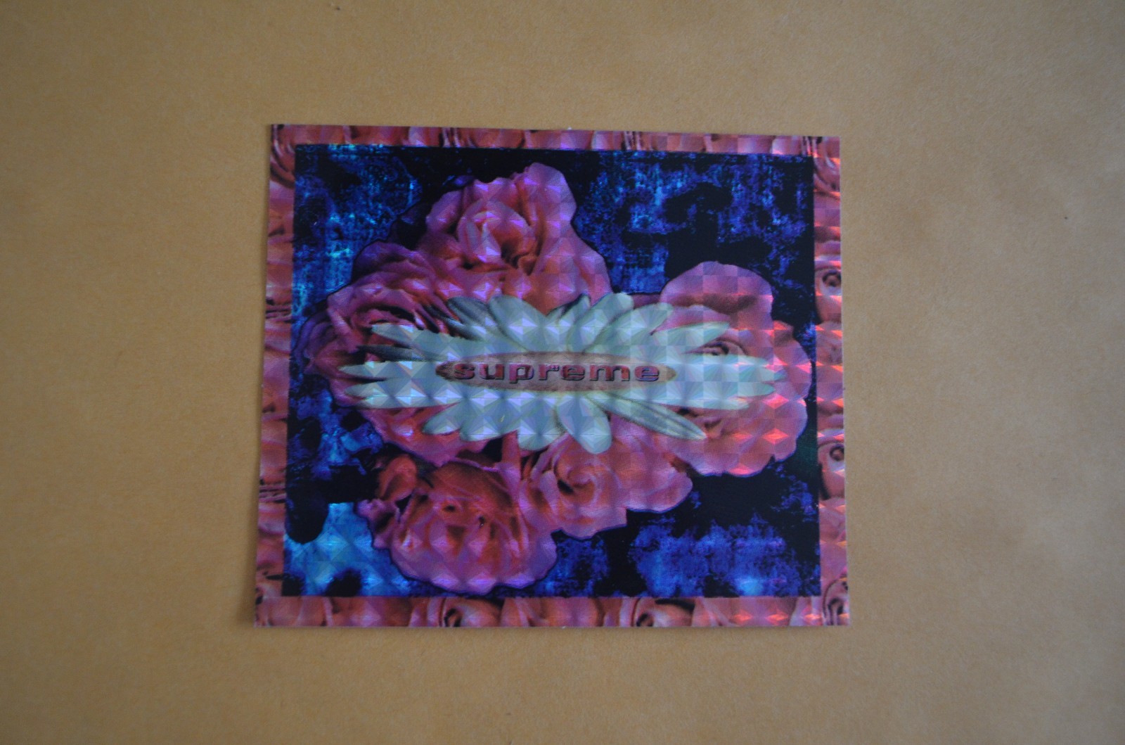SUPREME Bloom Sticker Blue Pink box logo camp cap tnf