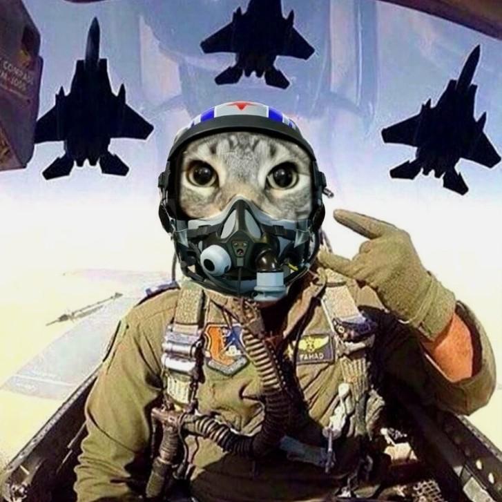 Aviator Cat Fighter Pilot 3" Sticker Label Card Gift Craft Journal Scrapbook