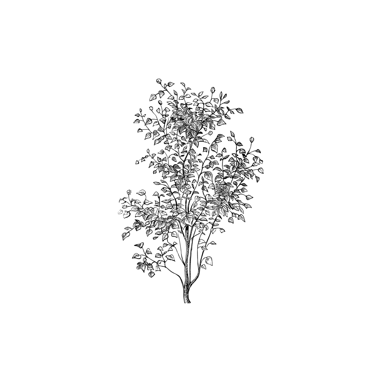 Tree Wall Decal Sticker. Bedroom Tree Bathroom Tree Nature Wall Decor. #6743
