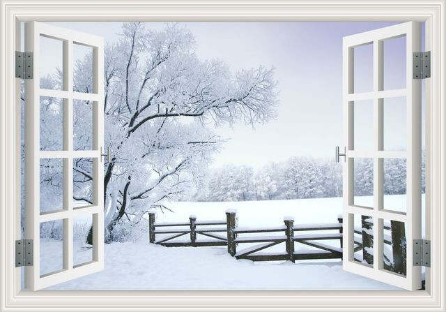 Seasonal 3D Window Removable Wall Sticker Forest View Mural Home Décor