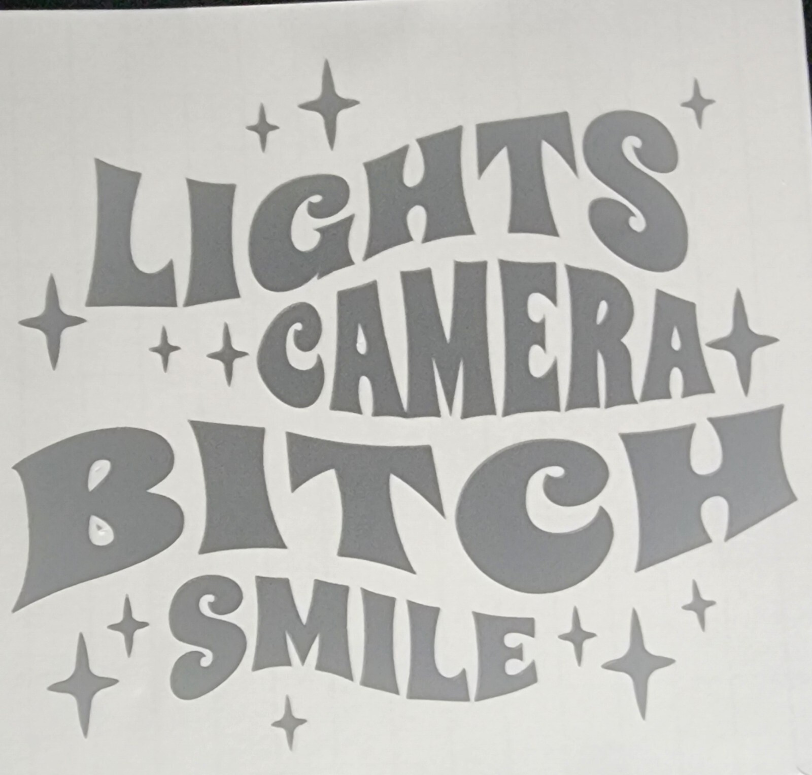 Lights, Camera, Bitch, Smile Taylor Swift Computer/Car/Cup Vinyl Decal 5×5