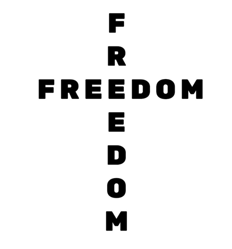 FREEDOM CHARLIE KIRK CROSS Vinyl Die Cut Car Decal Sticker – FREE SHIP!!