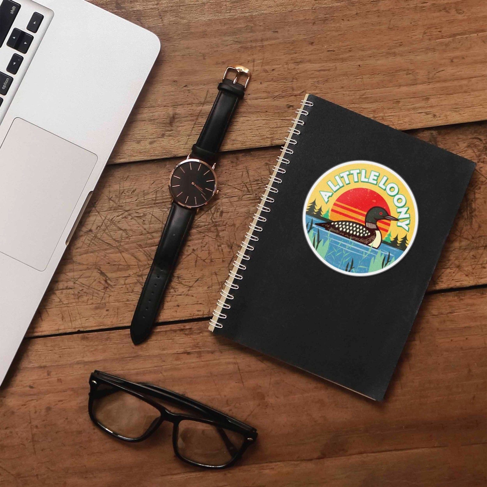 A Little Loony Birdwatching Sticker – Midwest Lake Bird Decal for Water Bottle