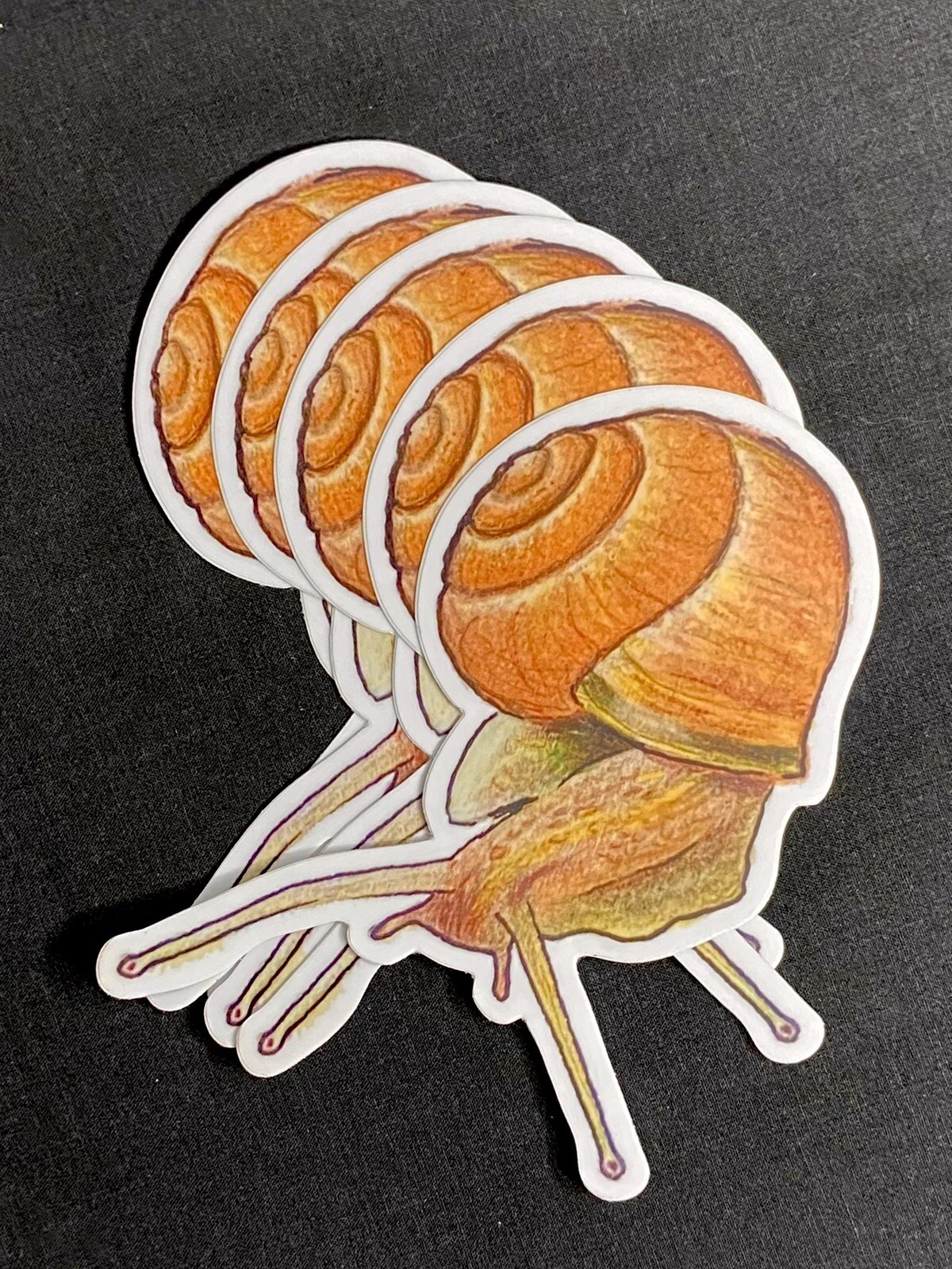 Wildlife Art Stickers Your Choice- 1 Vinyl Sticker: Bee, Snail, Ladybug, Bird