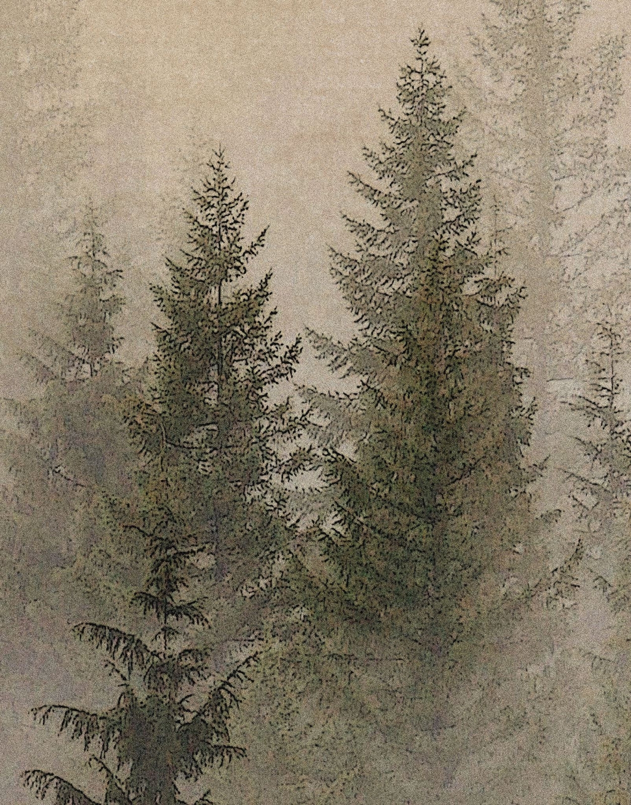 Misty Pine Tree Forest Landscape Wallpaper. Peel and Stick Wall Mural. Self Adhe