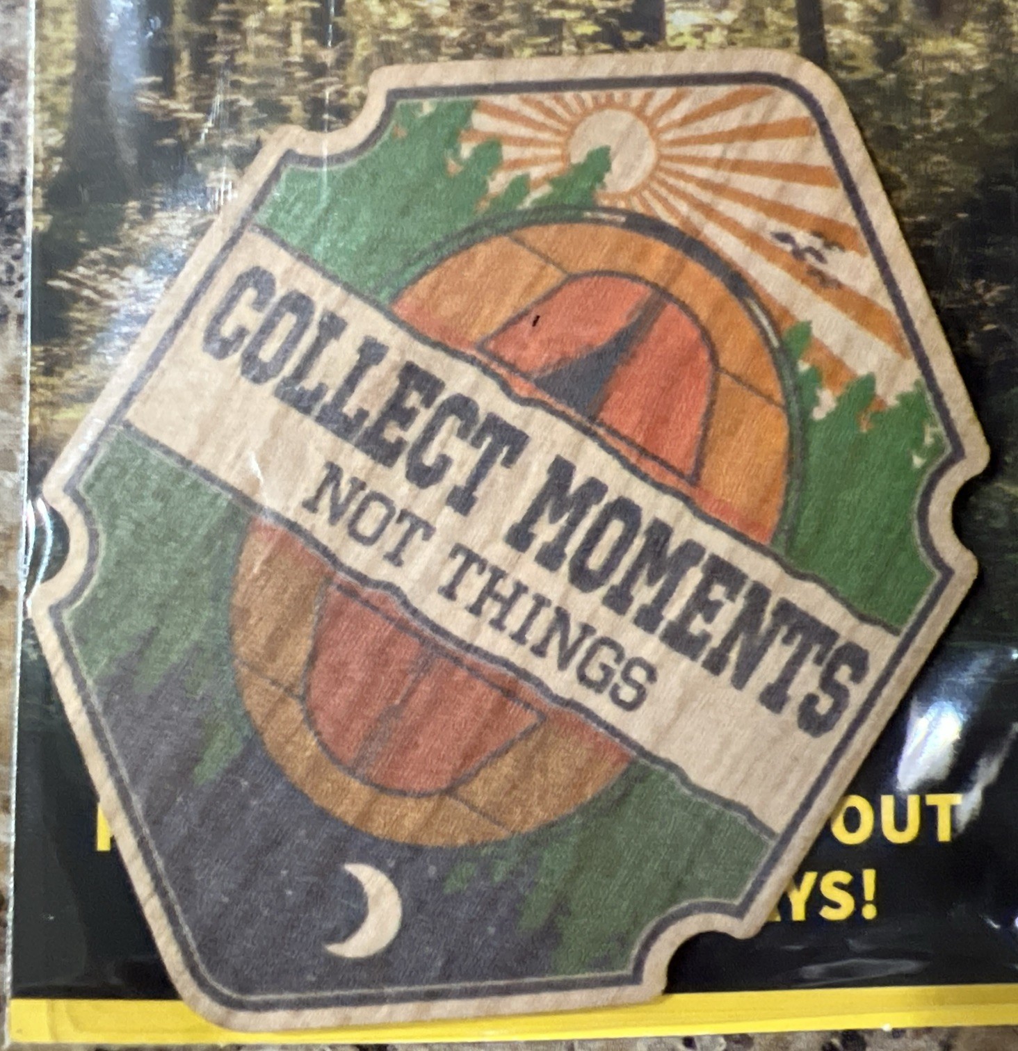 Collect Moments Not Things WOOD Sticker Dishwasher Biodegradable Dust City NEW