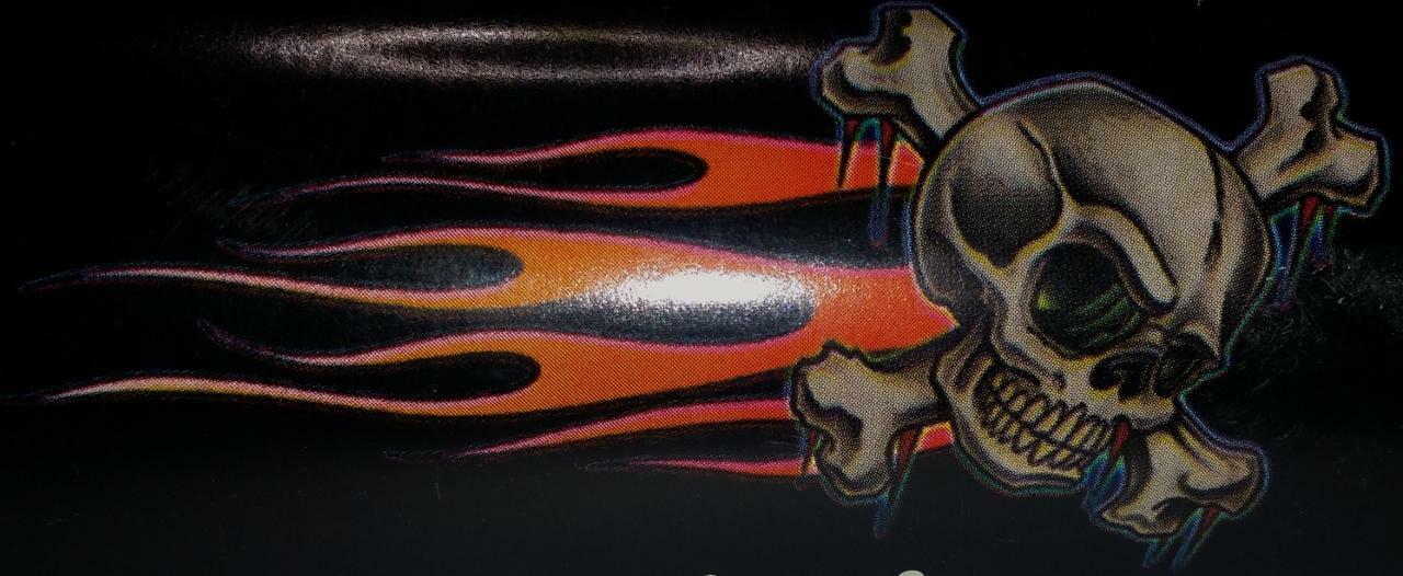 New Auto Flaming Skull Body or Windshield Graphic Decal Kit 15" x 32" Set of 2