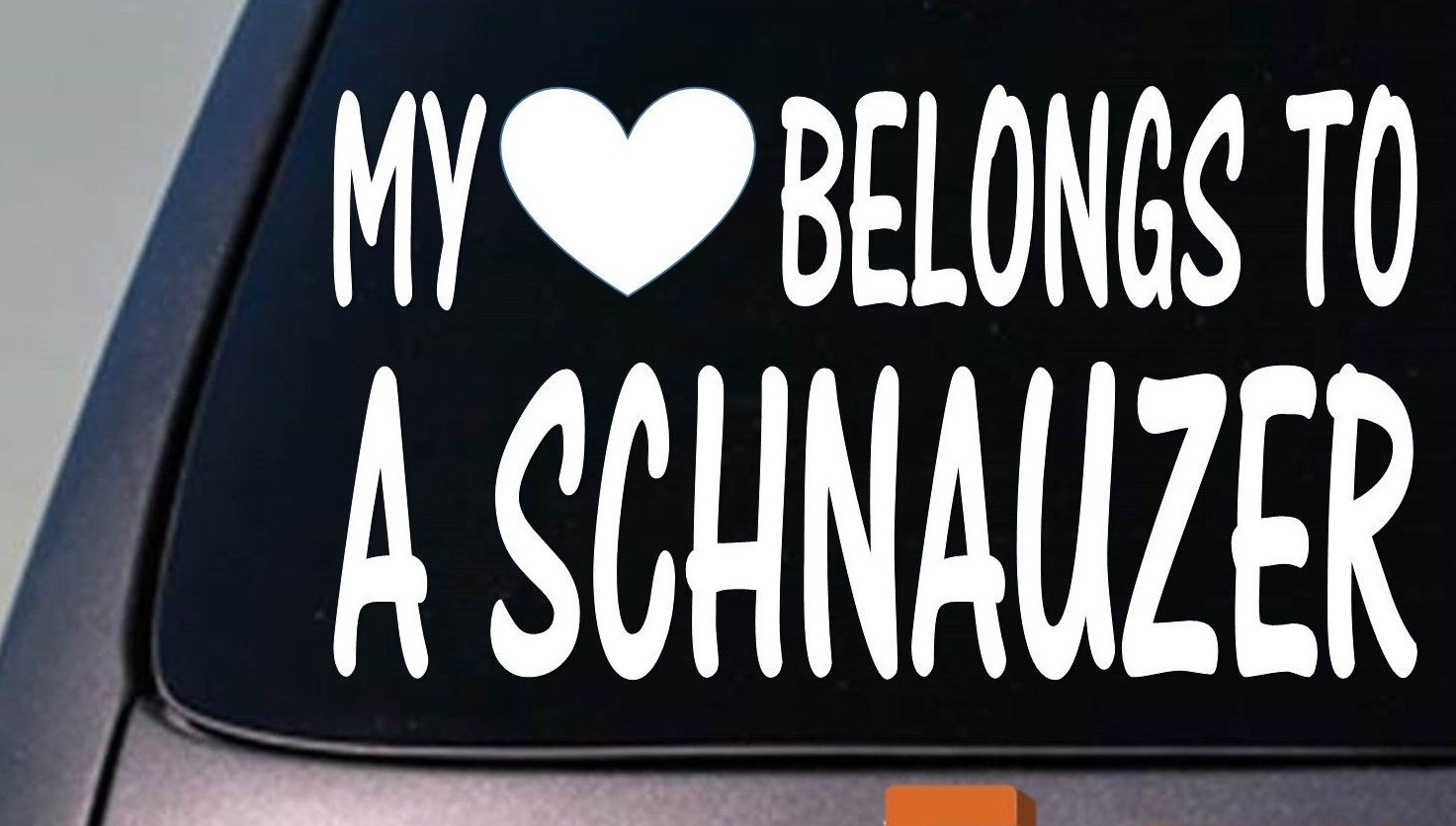 My heart belongs to a Schnauzer sticker decal *D911*