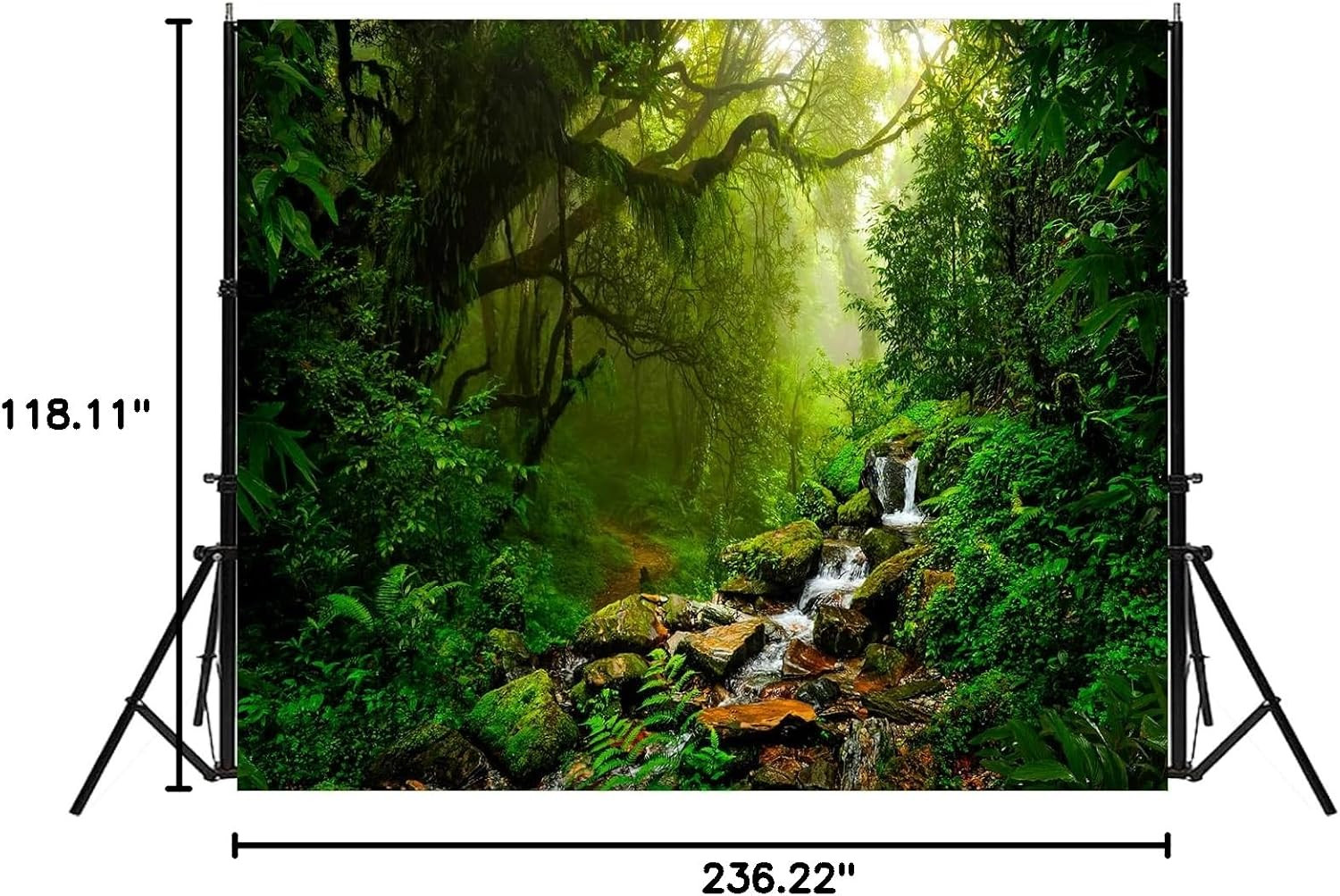 Tropical Jungle Backdrop Rain Forest Evergreen Forest Small Waterfall Photograph