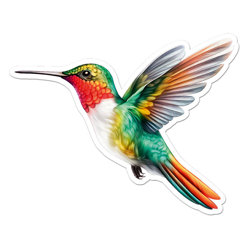 Hummingbird, Vinyl Decal Sticker, Indoor Outdoor, 3 Sizes, #11624