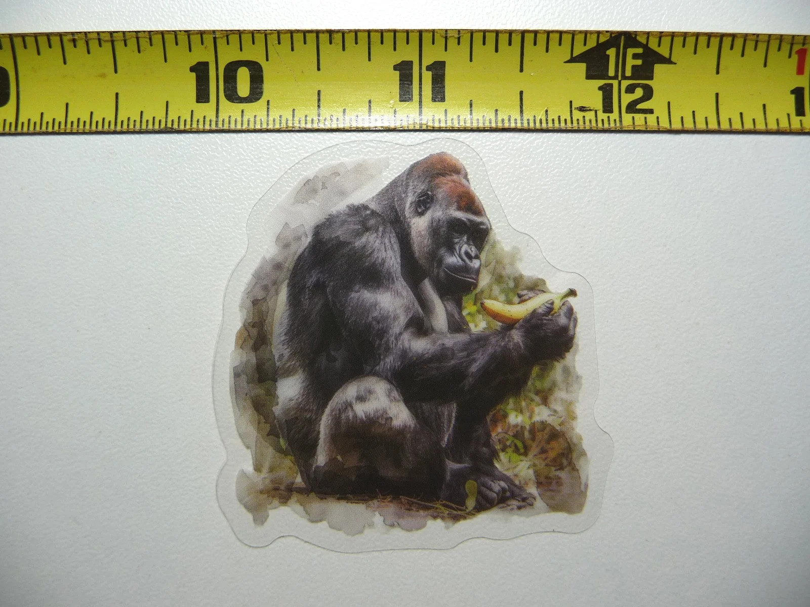 GORILLA LOOKING BANANA SMALL STICKER DECAL WILDLIFE COLORFUL ZOO FUNNY