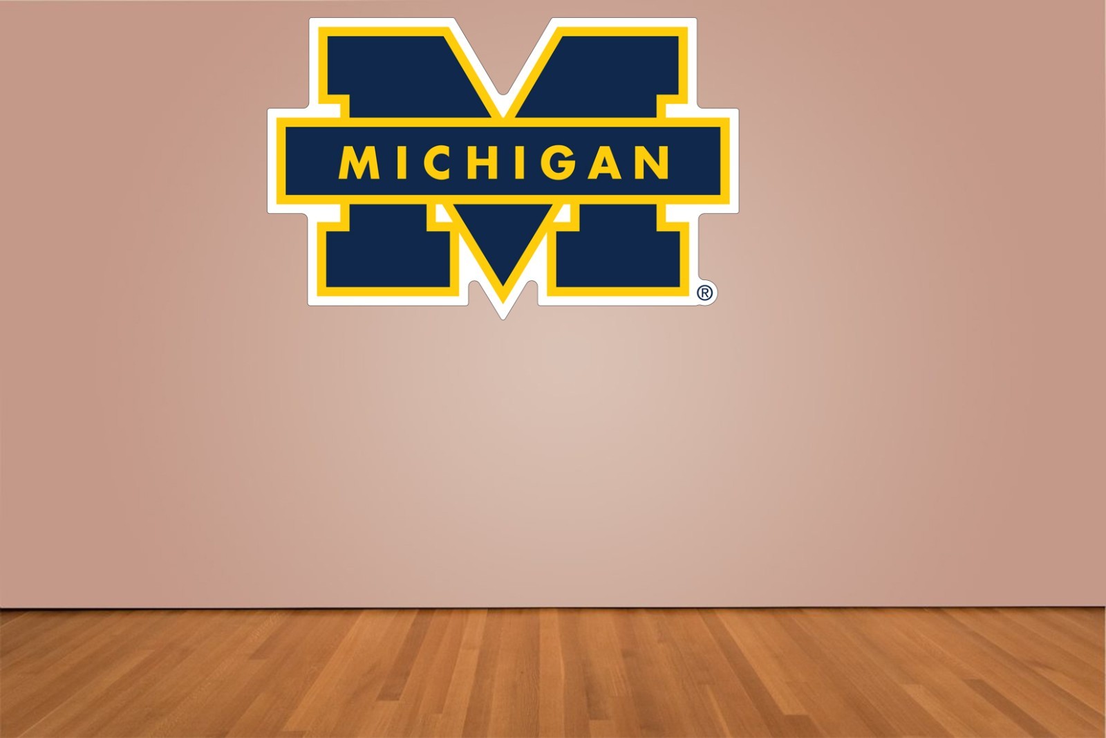 University of Michigan Wolverines Indoor Wall Vinyl Decal Sticker 5 – 52"