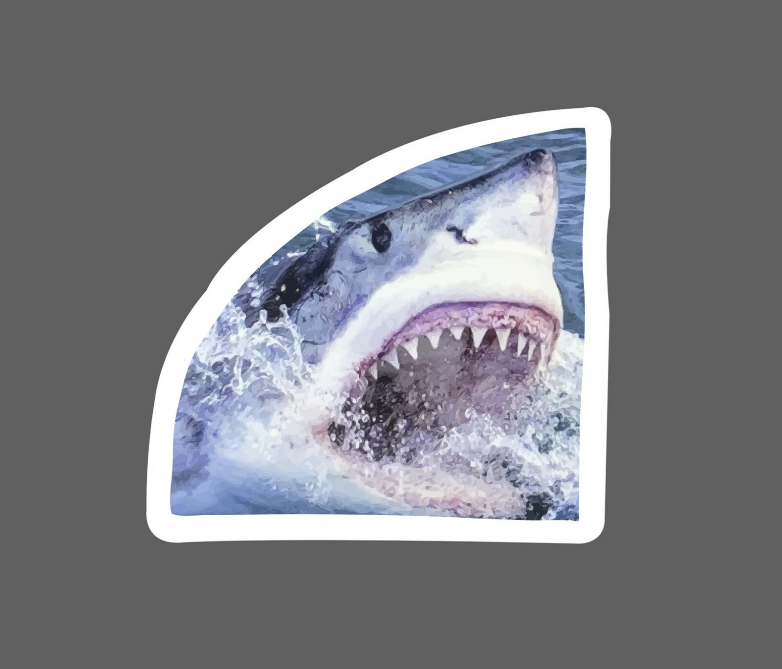 Shark Sticker Realistic Attack Waterproof – Buy Any 4 For $1.75 Each Storewide!