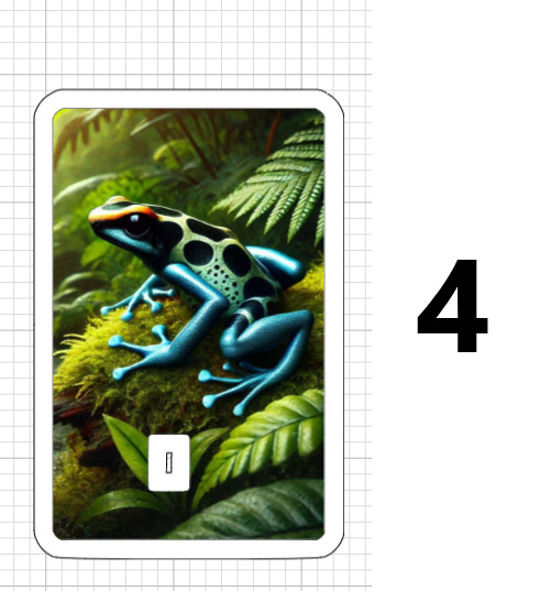 Frogs ATM DEBIT CREDIT STICKER SKIN USA Toad Jungle Colorful Poison Dart Frog US