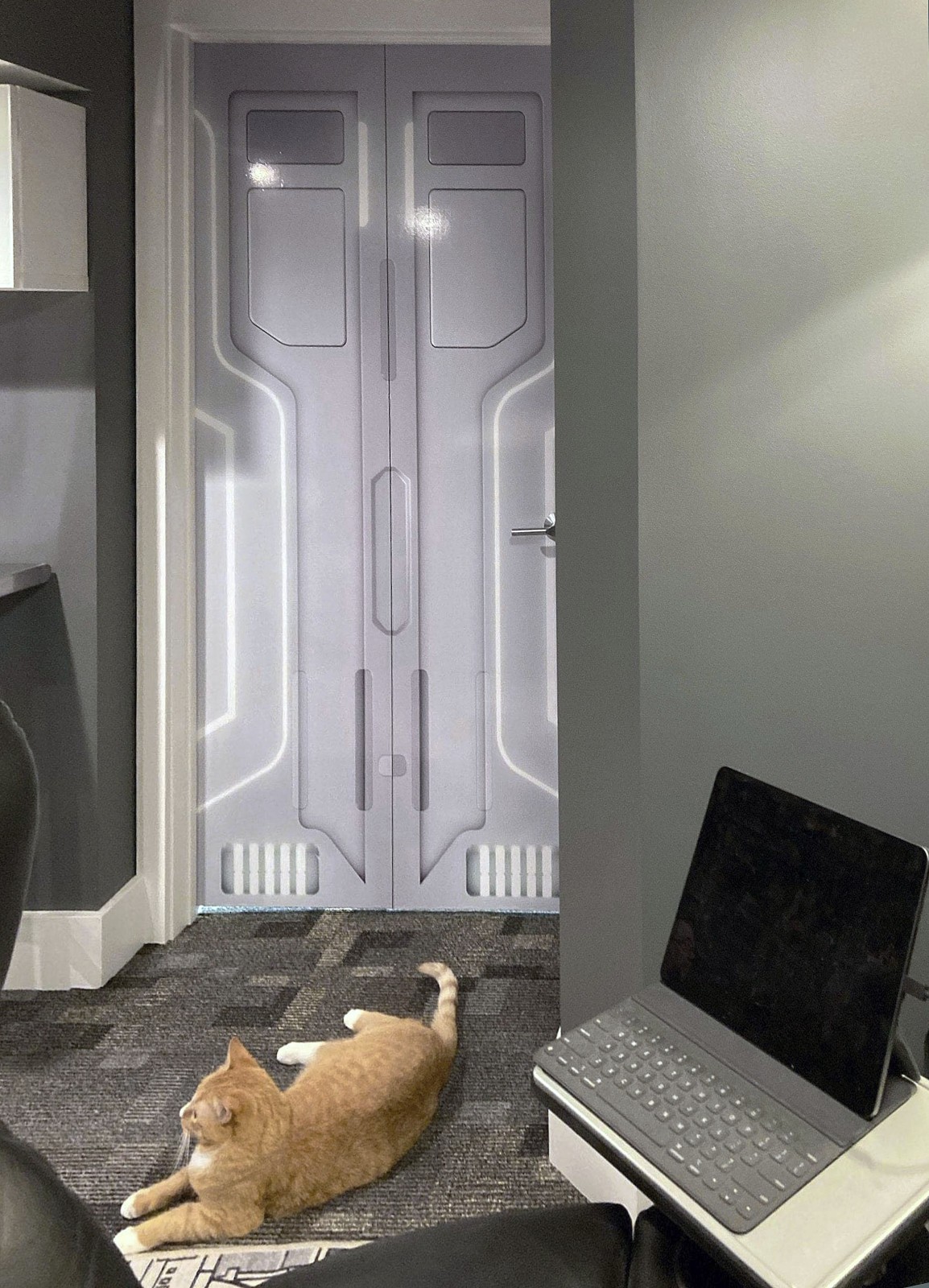 Door Mural – Starship Hatch | Seamless 1-Piece Laminated Wrap | Rental Friendly