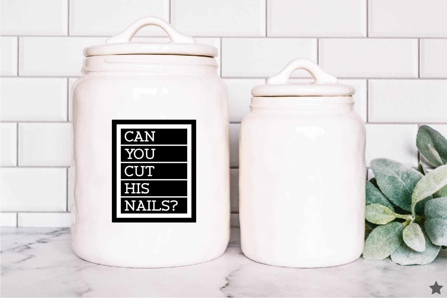 Can You Cut His Nails? Vet RVT Week Gift Med Life Decal Sticker Dog Quote Trim
