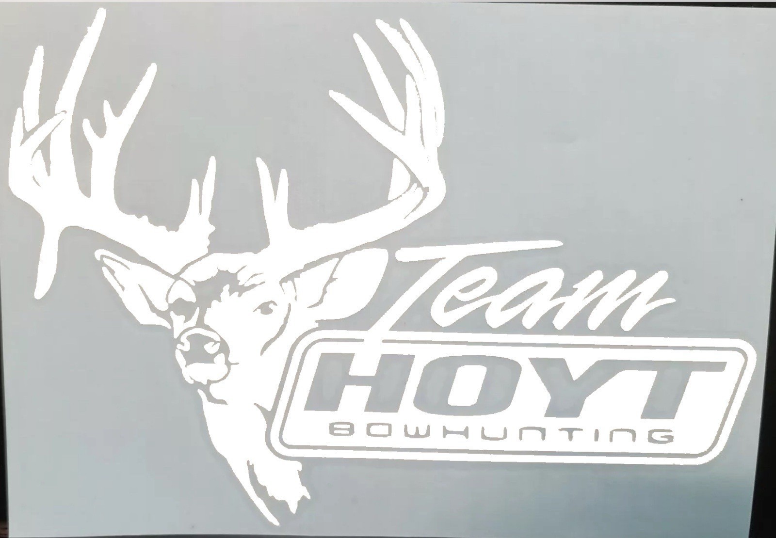 Hoyt Archery Buck Deer Bow Hunting Vinyl Decal Sticker Truck / Car 7”