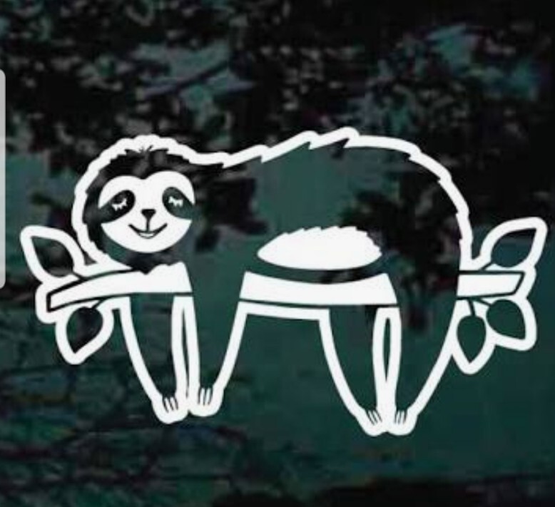 SLOTH IN TREE DECAL VINYL for Car Truck SUV Bumper Wall Laptop Home sm