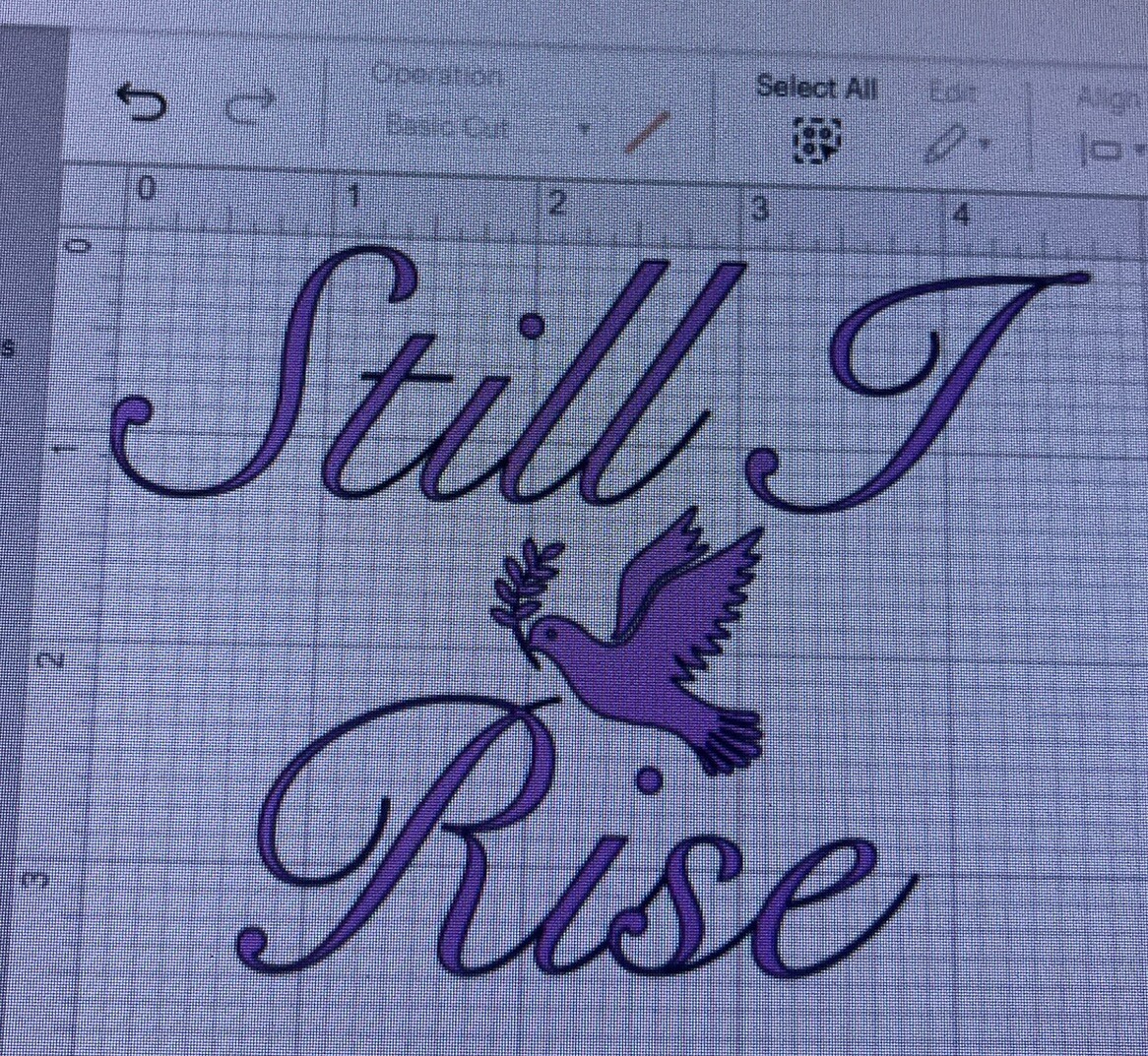 “Still I Rise” Strong Inspirational Decal Sticker 5×4” For Wall, Car Vinyl