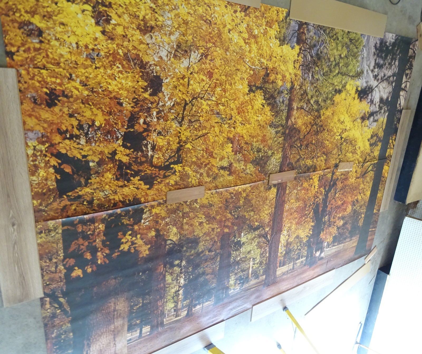 Full Wall Photo Mural Autumn Yosemite National Park Josef Muench 8’ 8” x 12’ 6”