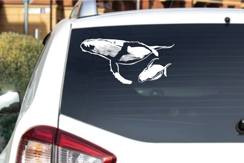Sea life – Ocean Gray Whale 1 Outdoor Window Decal Vinyl Sticker 6Yrs Film