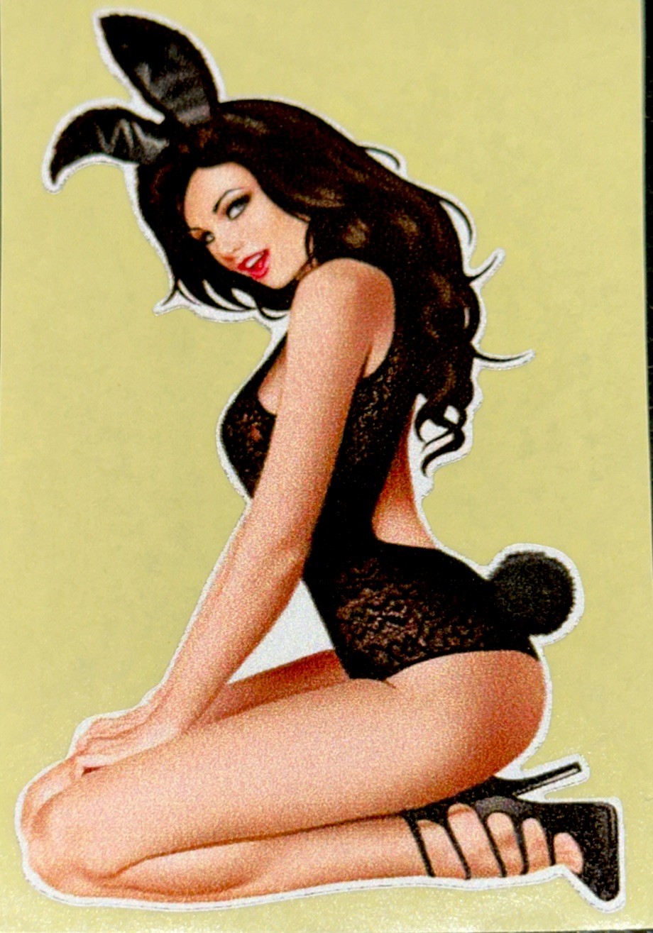 SEXY GIRL VINYL STICKER✨💋💄🔥👠💋✨4 1/4” X 2 1/2”✨BUNNY✨PLAYBOY✨AWESOME✨❤️‍🔥💫