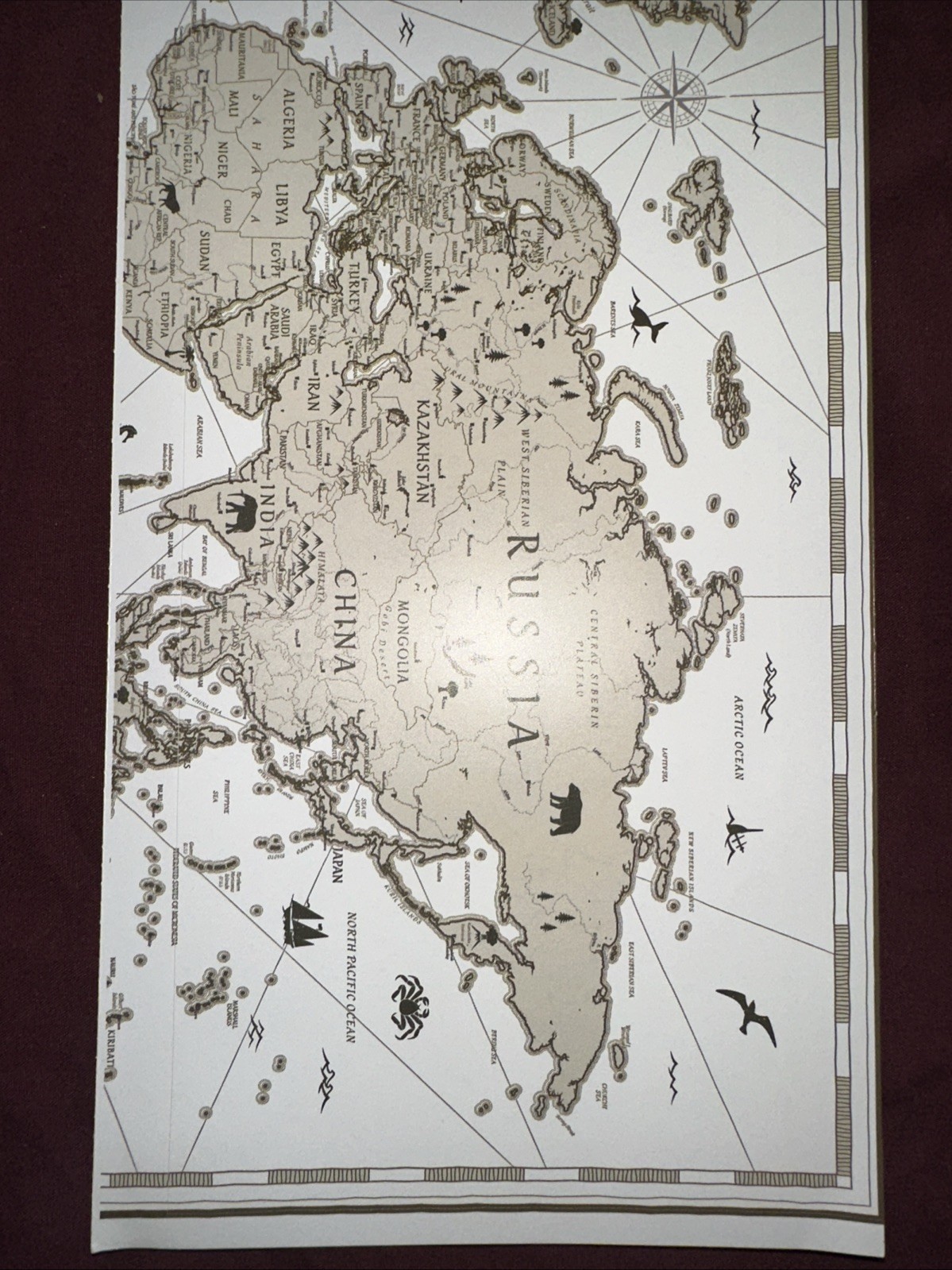 "World Map" Jumbo Removable Sticker-Main Street Wall Creations~New