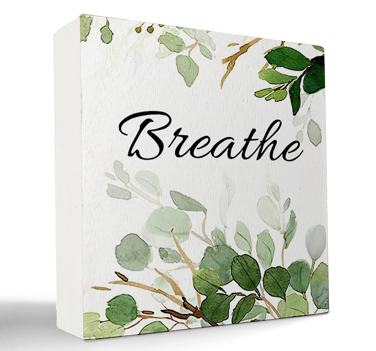 kunlisa breathe Bathroom Wall Decor for Shelves, Botanical Eucalyptus Leaves …