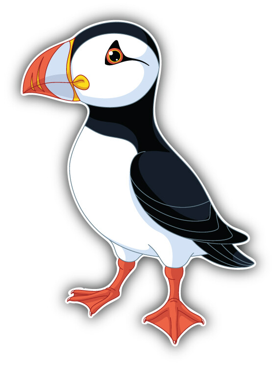 Atlantic Puffin Art Decor Car Bumper Sticker Decal