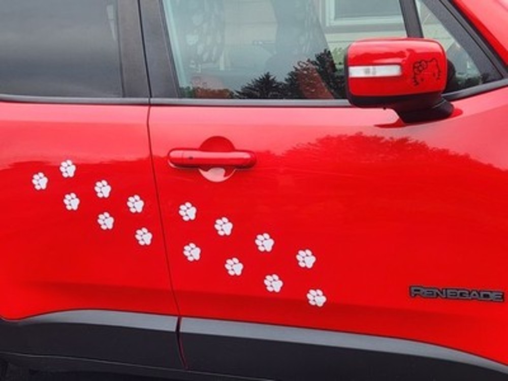 Dog Paw Print Decals Pet Animal 1" or 2.5" Wall Window Floor Stickers Big Set